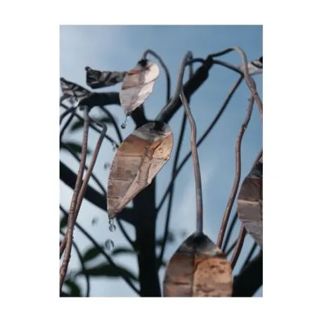 Fontanna dom,ogród Wierzba Placząca H 1m