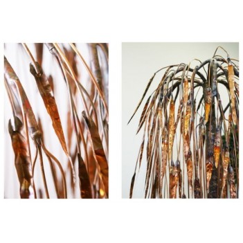 Fontanna dom,ogród Wierzba Placząca H 1m