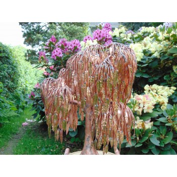 Fontanna ogrodowa zasilanie solarne. Nowość!!!