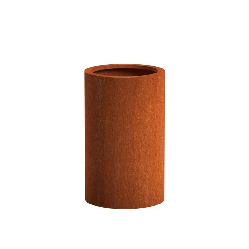 Atlas donica CT9