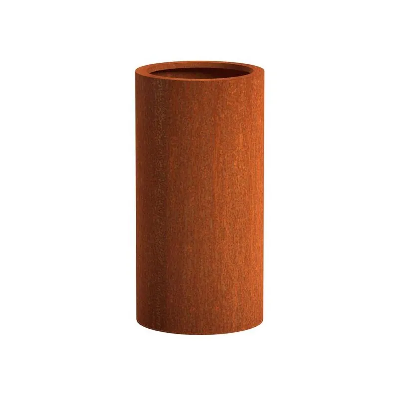 Atlas donica CT10