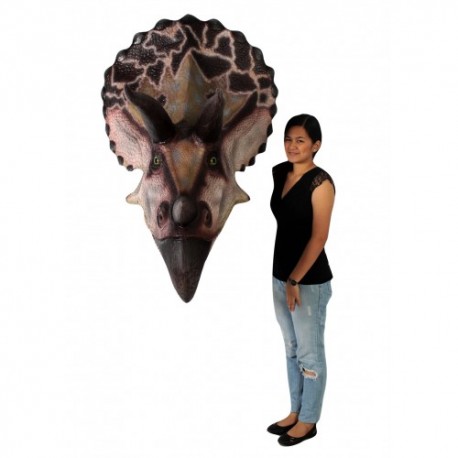 Description  Triceratops Heads Jumbo