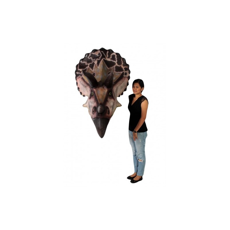 Głowa Triceratopsa duża