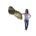 голова Muttaburrasaurus