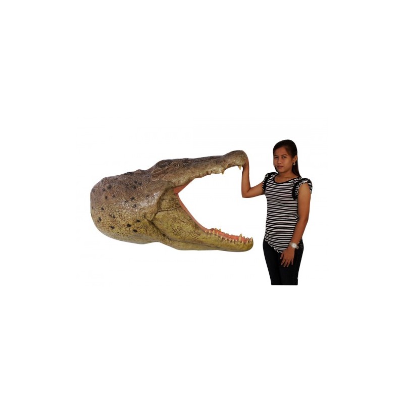 Krokodýlí hlava