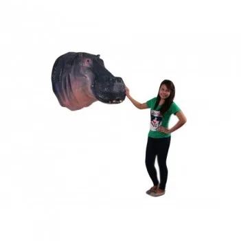 Hippopotamus Head