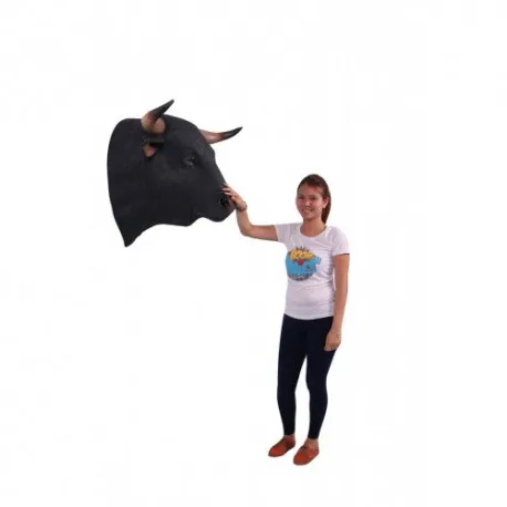 Spanish Fighting Bull Head