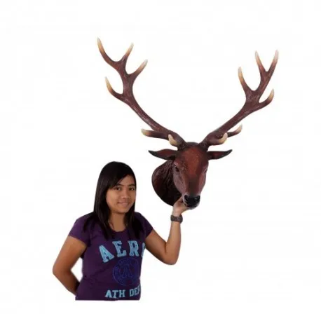 Red Deer Stags Head