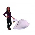 Swan