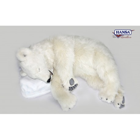 Белый медведь спит