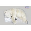 Lední medvěd spí