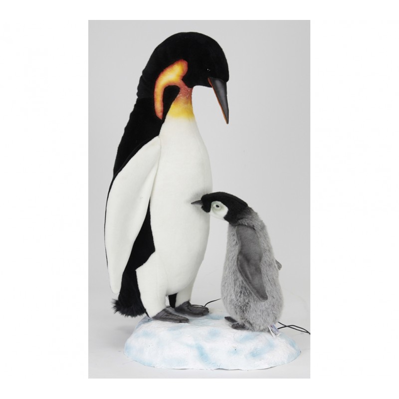 Emperor Penguin Doting
