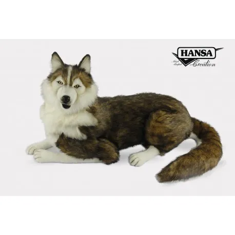 Husky-Verlegung