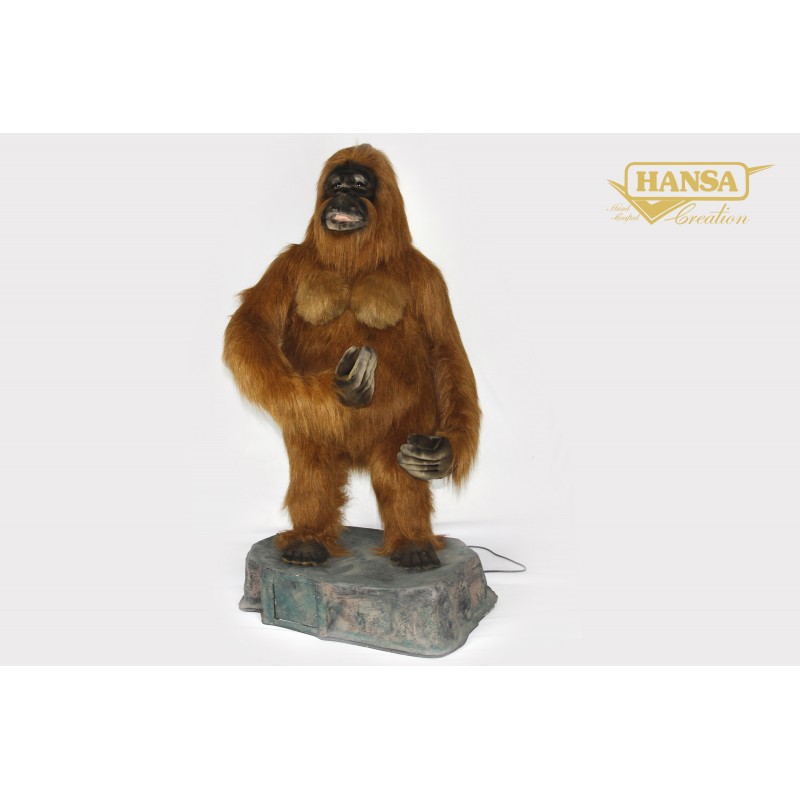 Orangutan Adam