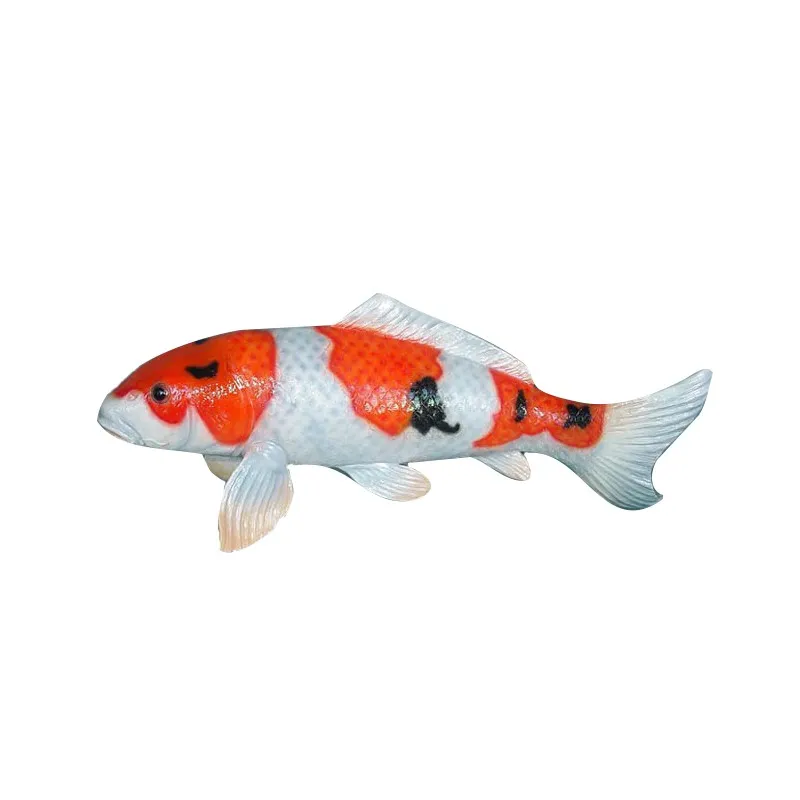Duży Koi