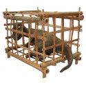Baby T-Rex in Bamboo Cage