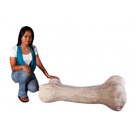 Dinosaur Bone