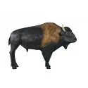 American Bison