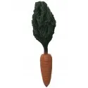 Marchewka