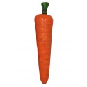 Oversized Carrot