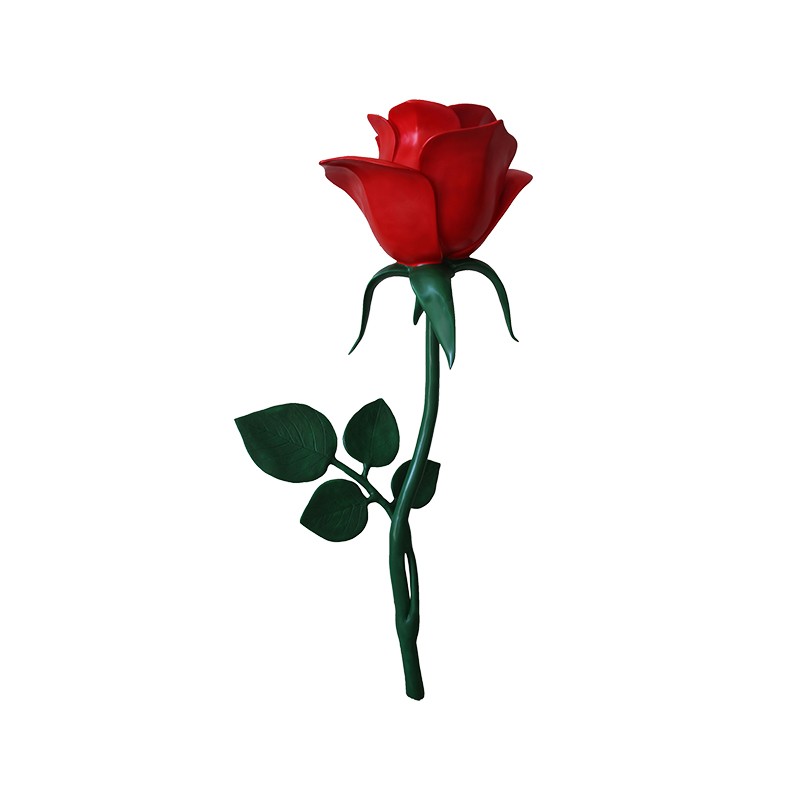 Kwiat róży