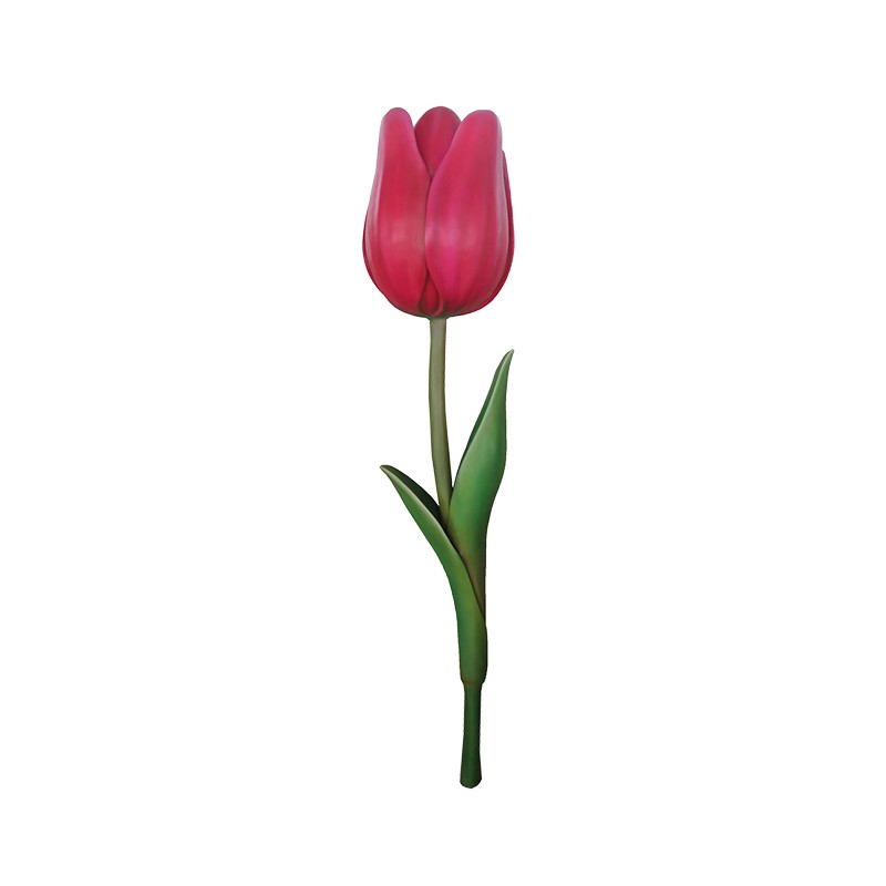 Tulipan Kwiat