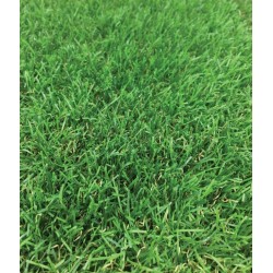 Sztuczna trawa Waterford (30 mm) kolor zielona