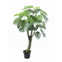 Monstera z doniczką 150 cm