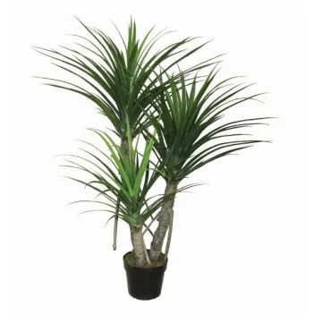 Pandan Z Doniczką 160Cm