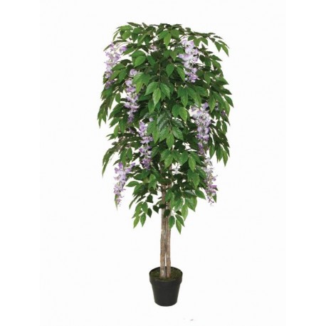Wood Trunk Wisteria With Pot 160Cm