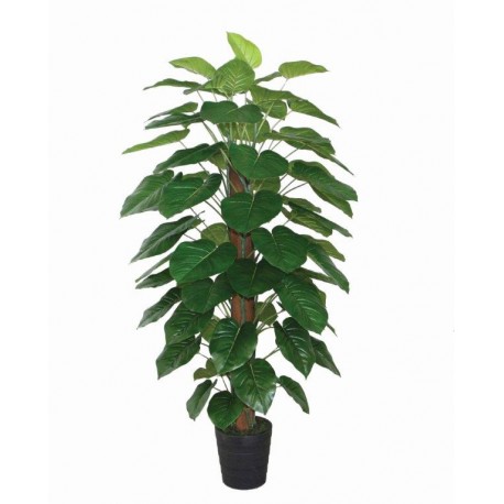 Pothos Pole z donicą 180 Cm