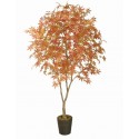 Maple – Green With Pot 200Cm