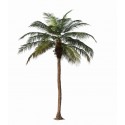 Phoenix Palm With Base Plate 350Cm