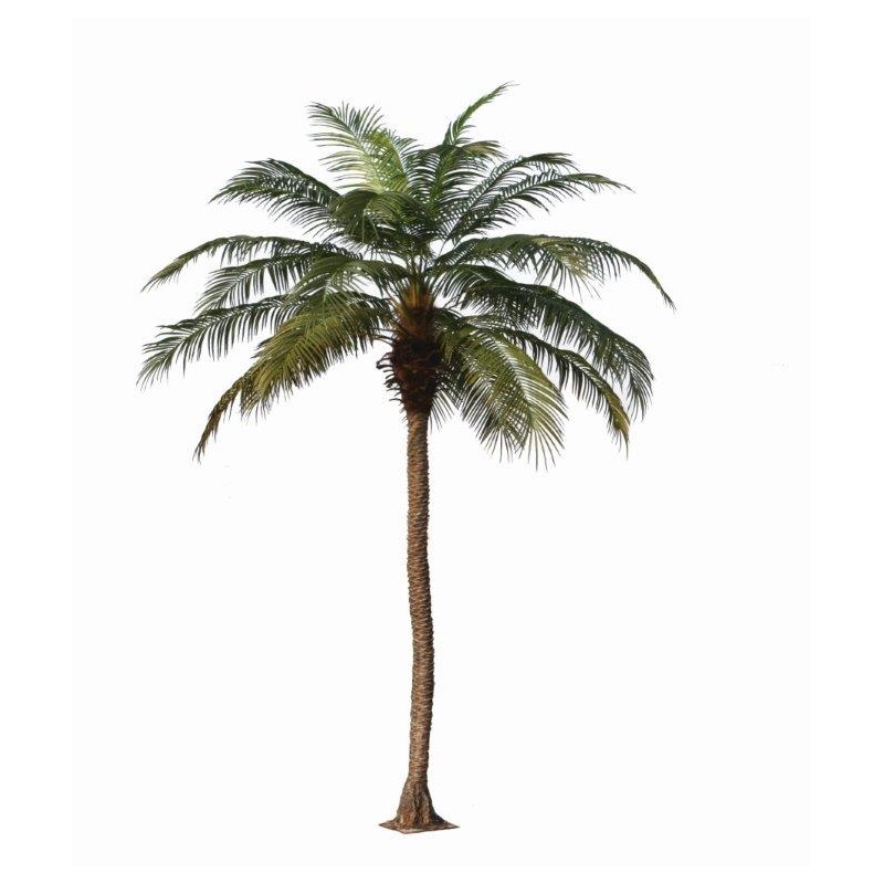Phoenix Palm With Base Plate 350Cm