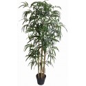 Bamboo 130Cm