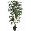 Bambus z Doniczką 130 Cm