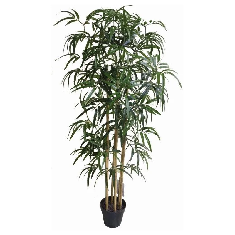 Bamboo 130Cm