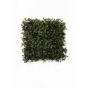 Boxwood Mat