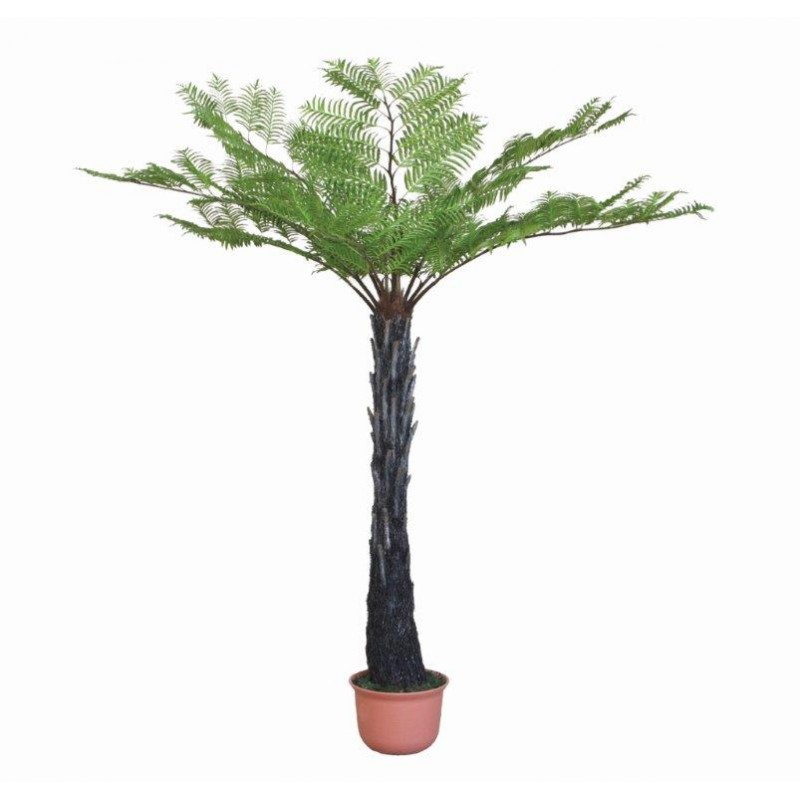 Common Tree Fern With Pot 250 cm