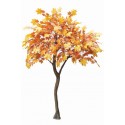 Tree Canadian Maple 270 cm