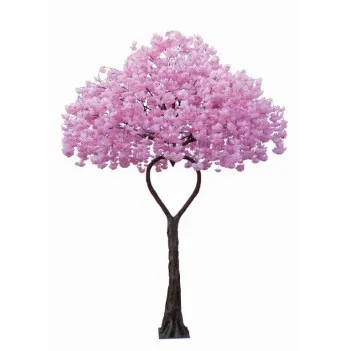 Drzewo serca kwiat wiśni