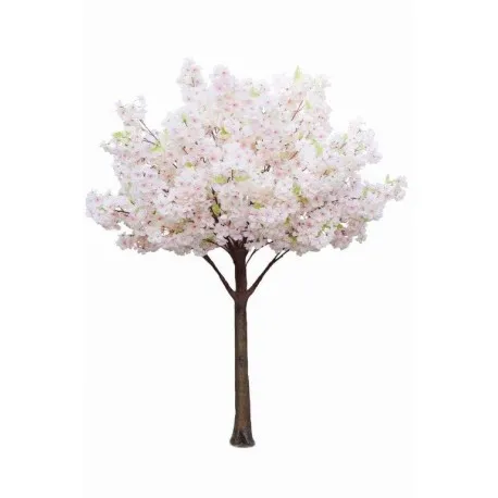 Cherry Blossom Tree