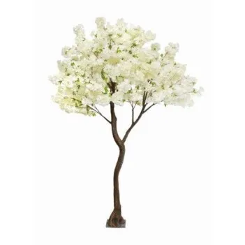 Cherry-Apple Tree