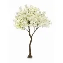 Cherry-Apple Tree