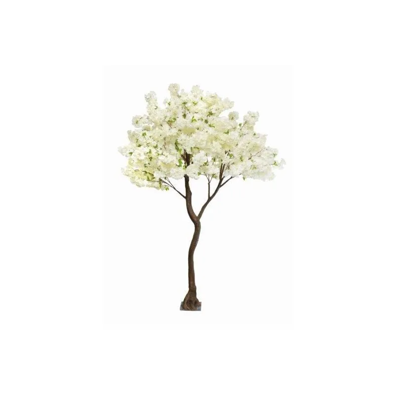 Cherry-Apple Tree