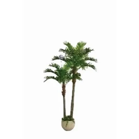 Duo Palm Trees