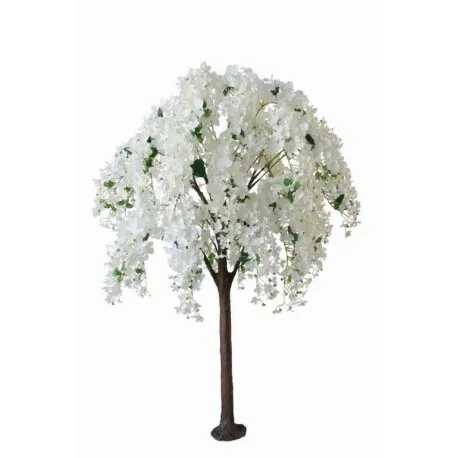 Tree Hydrangea