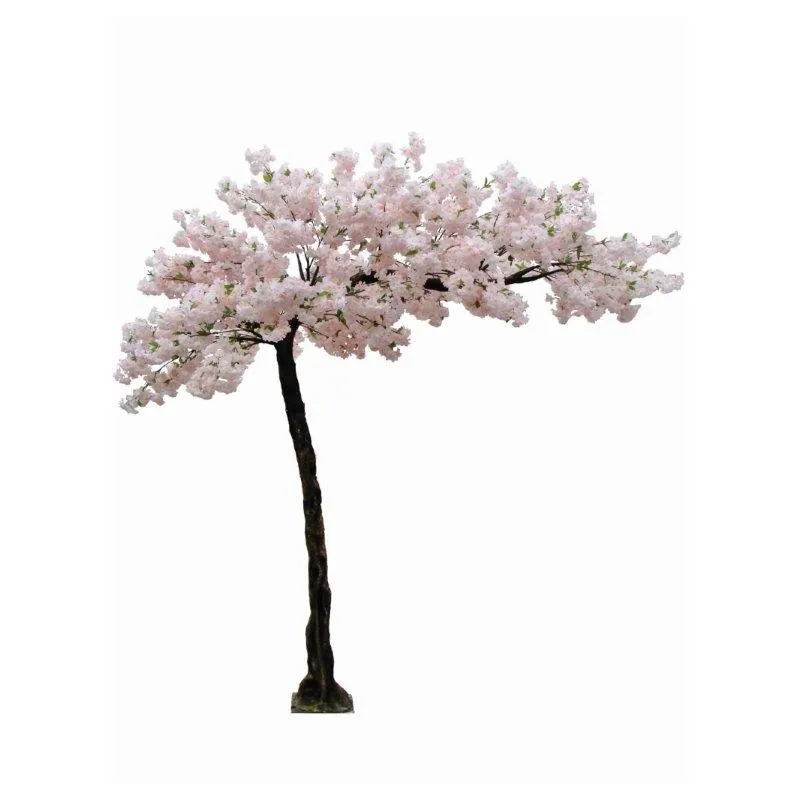 Duże drzewo kwiat wiśni