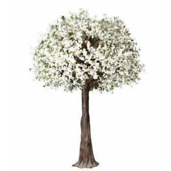 Large Cherry Blossom Tree