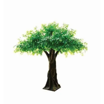 Drzewo Duży Figowiec